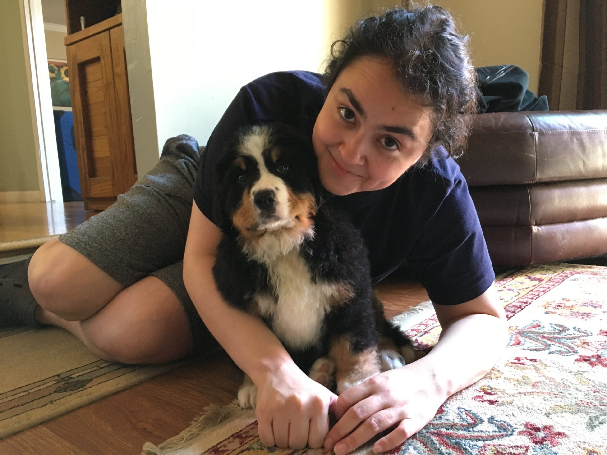 Bernerlandia Bernese Mountain Dogs