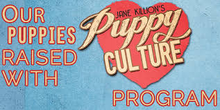 Puppy Culture banner