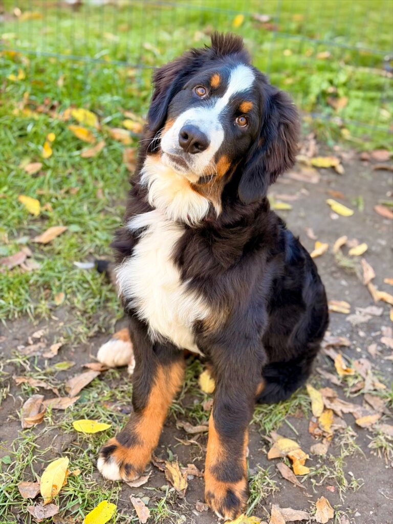 Kopernik 5 months