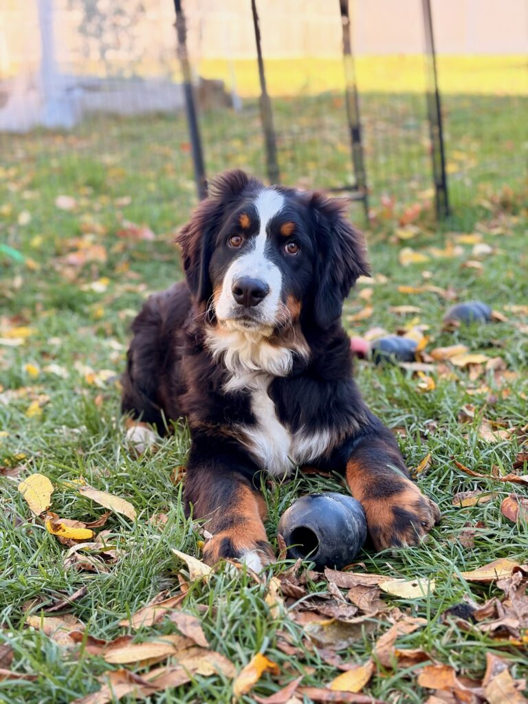 Kopernik 5 months