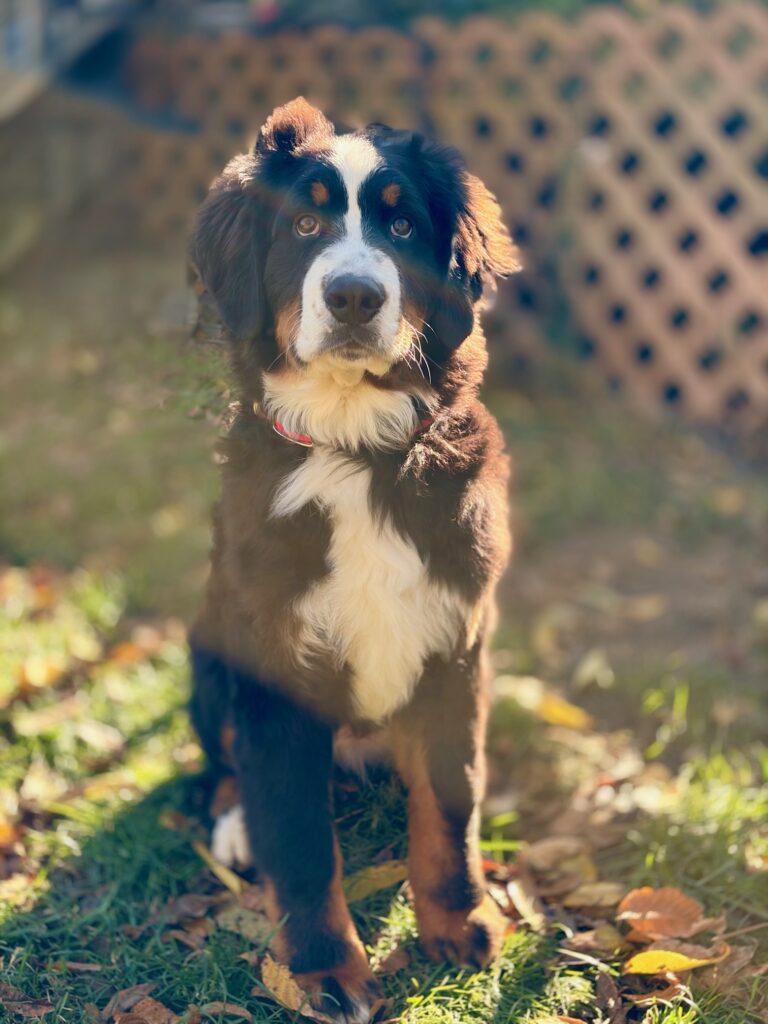Kopernik 5 months