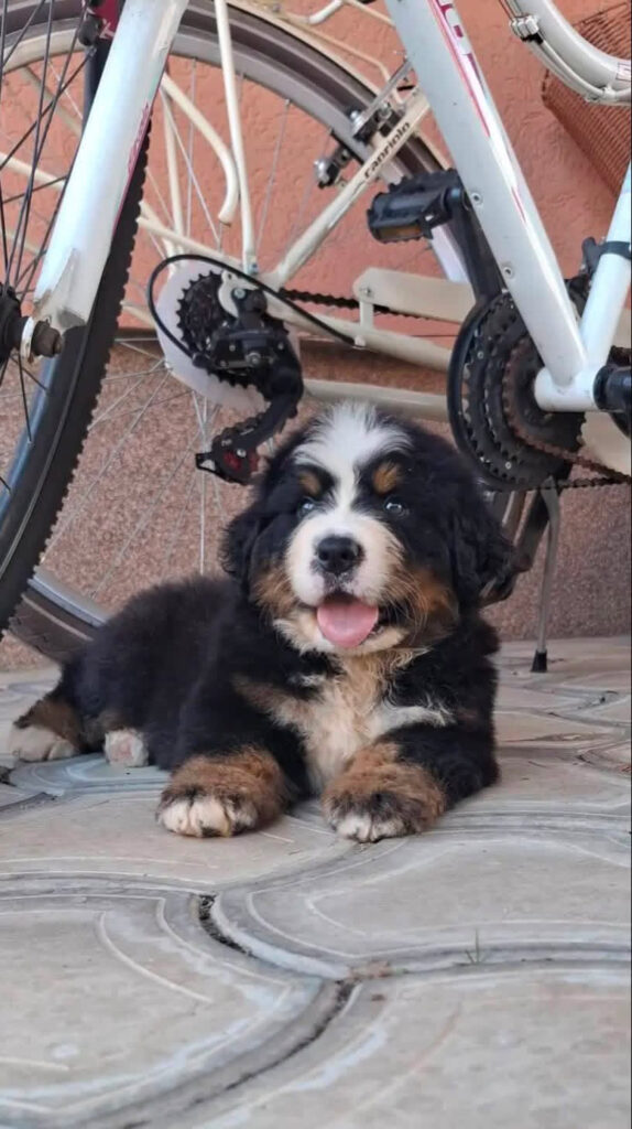 Kopernik 6 weeks