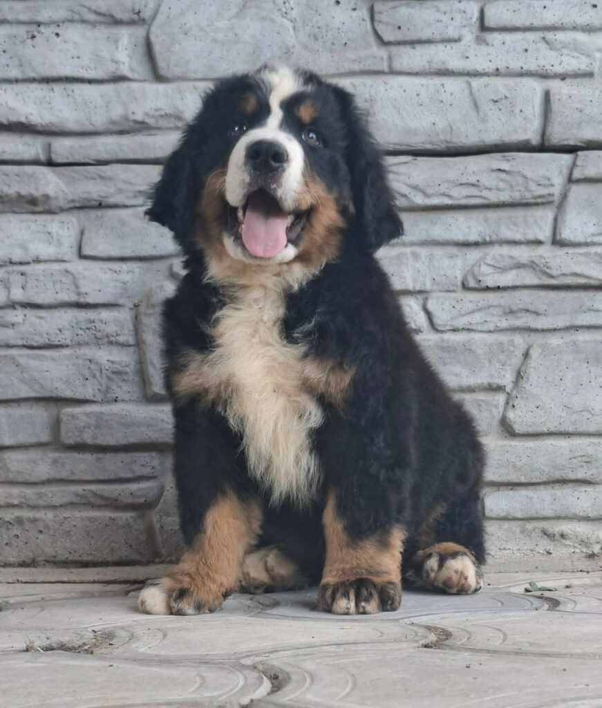 Kopernik 8 weeks