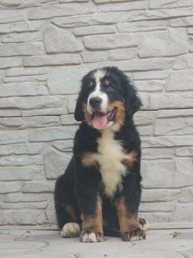 Kopernik 8 weeks