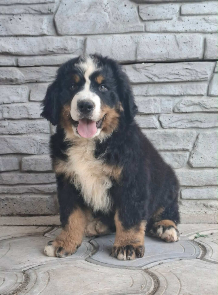Kopernik 8 weeks